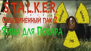 Сталкер ОП 2 Вороньи яйца для Повара и Лекарство для Акима