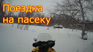 Поездка на пасеку.  ЗИМОВКА ПЧЁЛ 2020