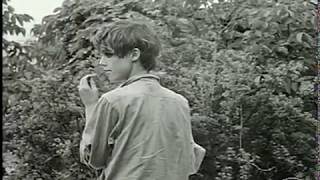 Rare Edie Sedgwick Rare Footage and edie sedgwick music,