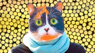 ЧТО БУДЕТ, ЕСЛИ ПОДЖЕЧЬ 100 000 ПЕТАРД!