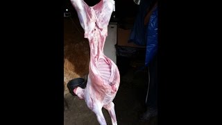 Рецепт приготовления целого ягненка!