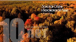 Золотая осень в Беловежской Пуще вместе с Кола-Бок