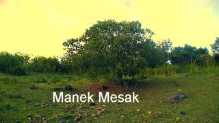 Fush Leky✅ Lagu terbaru 2018 - Manek Mesak (Biarkan kami terus berkarya)