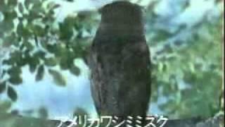 ナショナルCM4種