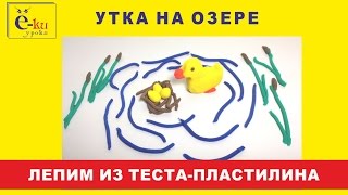 8 Утка на озере. Поделки из пластилина.