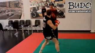 Backstage Alex Avogadro - Fight Warriors - Budo International