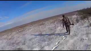 #охота на зайца 2020г. КРЕПКО СПЯЩИЙ! или заяц с большими яйцами)))#охота2020г