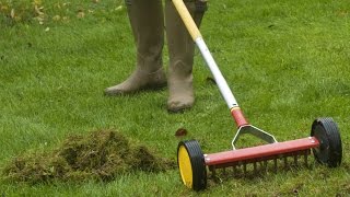 Comment scarifier la pelouse