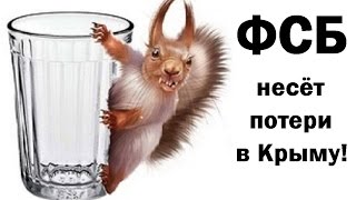 Крымская "белочка"