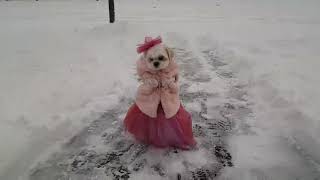 Super tiny model walking in the snow/Siêu người mẫu đi trong tuyết