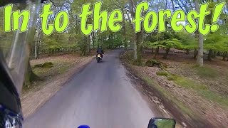 In to the forest!