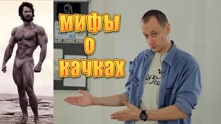 7 мифов о бодибилдинге. Мифы и заблуждения о качках.