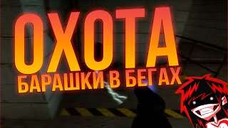 БАРАШКИ В БЕГАХ! - CS:GO MINI-GAME - ОХОТА!