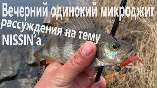 Вечерний одинокий микроджиг / Рассуждения на тему Nissin'a