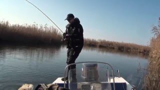 Невероятное видео о рыбалке в Астрахани. Щука клюет как из пулемета!