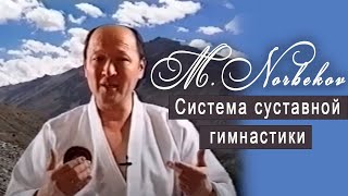 М. Норбеков. Суставная гимнастика.Нагладно-учебное пособие.
