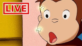 Jorge el Curioso en Español LIVE ? En Vivo | Caricaturas para Niños | Dibujos Animados en Español