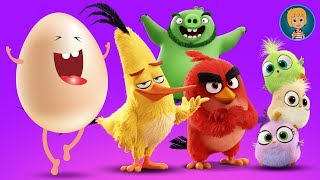 Angry Birds Egg Surprise Toys Surprise (Gertit ToysReview)