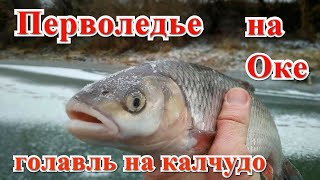 Открытие зимнего сезона 2019-2020 на Оке. Рыбалка на КАЛУЖСКУЮ РЕЗИНКУ.
