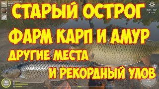 фарм КАРП И АМУР НА оз. СТАРЫЙ ОСТРОГ ГАЙД русская рыбалка 4 другие места и рекордный улов