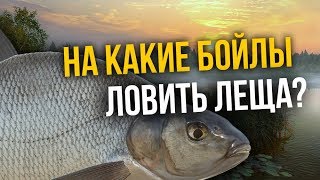 РУССКАЯ РЫБАЛКА 4. На какие бойлы можно половить Леща?