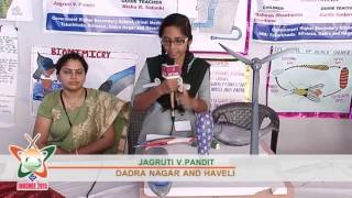 National science fair 2015 episode 4