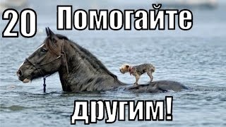 №20. ПОМОГАЙТЕ другим и принимайте ПОМОЩЬ сами! Урок 20 из 52