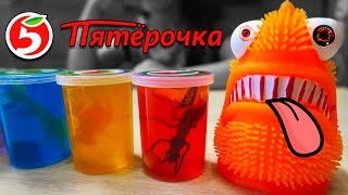 НоВиНкА!! ЛИЗУНЫ В БАНКЕ ИЗ ПЯТЕРОЧКИ