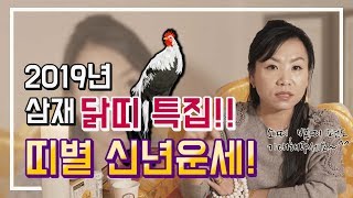 2019년 삼재 [닭띠 특집] 띠별 신년운세&사주풀이 (사고수, 재물운, 조심해야하는점) / 서울점집 해월신당