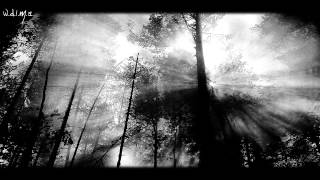 Totalselfhatred - Enlightment (lyrics)