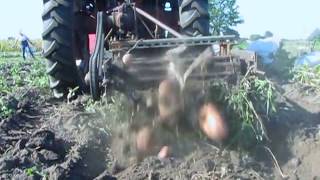 Классная самодельная картофелеконалка