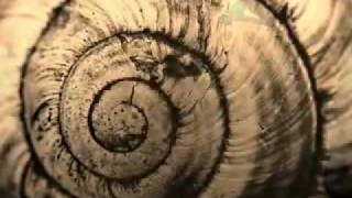 Nino Katamadze-Olei (Yerevan) www.videolike.do.am