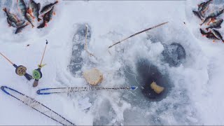Рыбалка на косынки зимой. Хижина в лесу. Рыбалка весной на мормышку