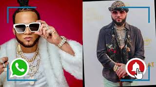 Vanessa Bohorquez Vs Brittanya Razavi - Cual Es Mas Bella o Sensual ?