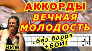 Вечная молодость Аккорды ? Чиж и Ко ♪ Разбор песни на гитаре ♫ Бой Текст
