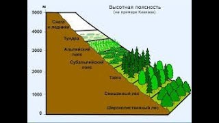 Природные зоны Земли. География 7 класс