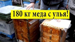 180 кг меда с улья ✅ На пасеке Ивана Мовчана Миргород ?