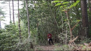 キノコ狩り Part２　南信州（9月26日）＜ヌードル平穂ビデオシリーズ＞