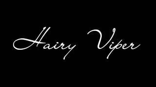 Hairy Viper - The Sky (Audio)