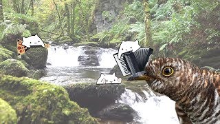 Кукушка - Виктор Цой / Полина Гагарина (мяу пианино, Бонго Котики)