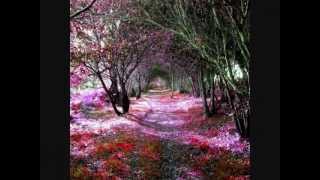 ♥BONITA ♥GUALICHO♥