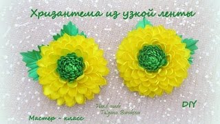 Хризантема из узкой ленты МК /Ribbons Chrysanthemum/DIY Kanzashi flower