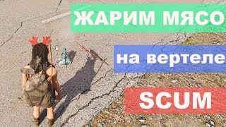 Как жарить мясо в SCUM после обновления без рецепта (2019)