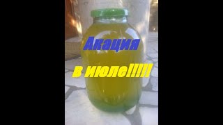 Качаем Мёд белой акации в июле.Нарастить пчёл в зиму?Пчелы принесли 55 кг мёда подсолнуха .
