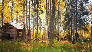 ЖИЗНЬ В ТАЙГЕ | СТРОЙКА ЛЕСНОЙ ИЗБЫ | ЧАСТЬ 1 | МЕДВЕДЬ РАЗВОРОТИЛ СХРОН