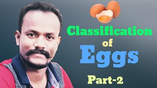 Classification of Eggs : Part-2: Based on Distribution of yolk: By Anand Sir