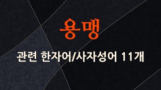용맹에 관한 한자어/사자성어 11개