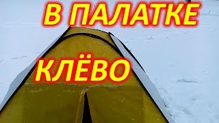 ЗИМНЯЯ РЫБАЛКА В ПАЛАТКЕ. ЕСТЬ ПОКЛЁВКА И КОМФОРТ!