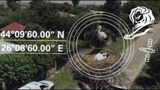 Enel & The Ornithological Society of Romania "The Nest Address" (Publicis Romania)