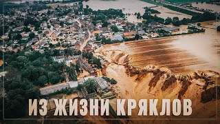 Получили? Распишитесь. Уже несколько дней гражданское общество напихивает за обе щеки кряклам